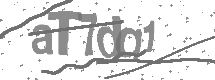 visual captcha